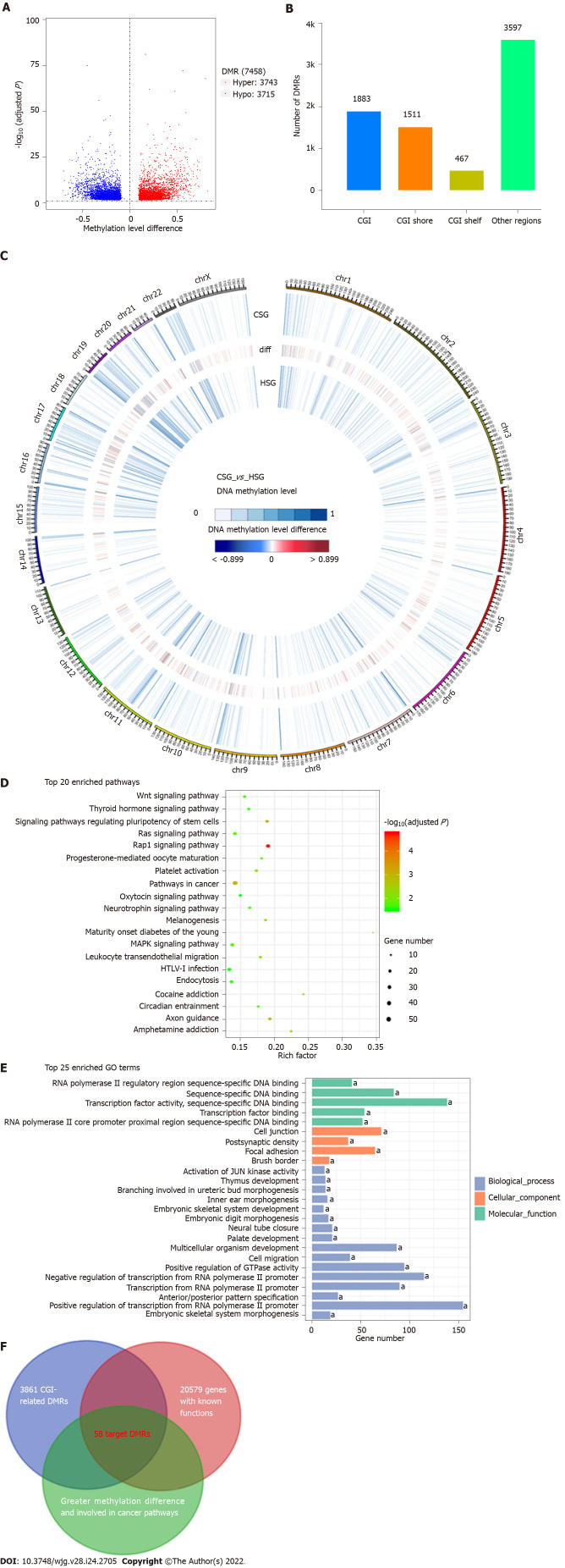 Novel multiplex stool-based assay for the detection of early-stage ...