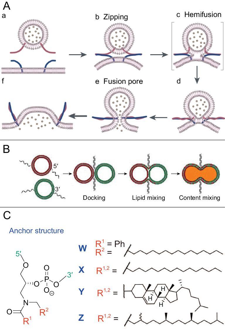 Figure 9.