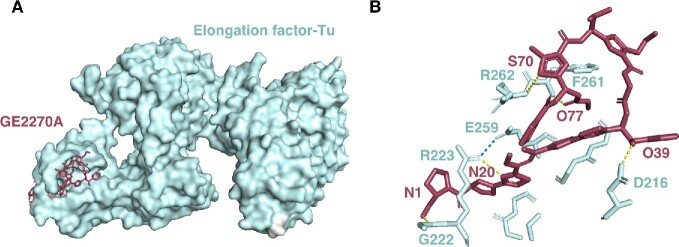 Fig. 11.