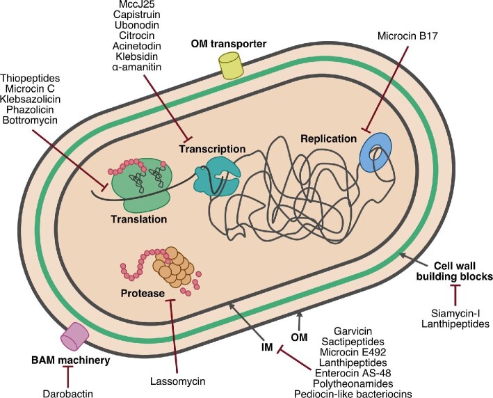 Fig. 1.