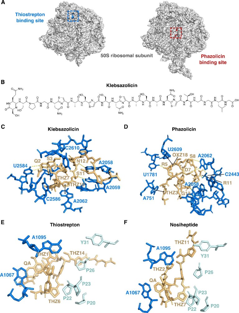 Fig. 10.