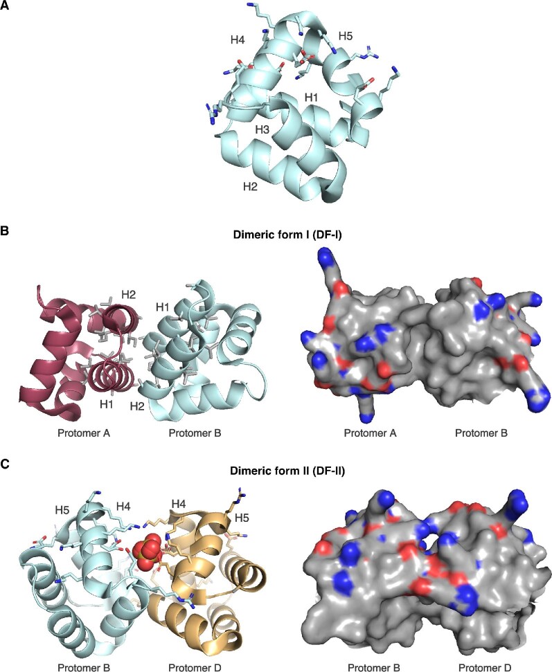 Fig. 6.