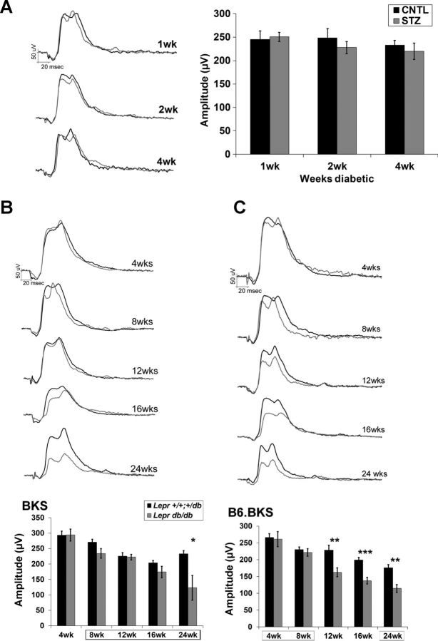 Fig. 10.