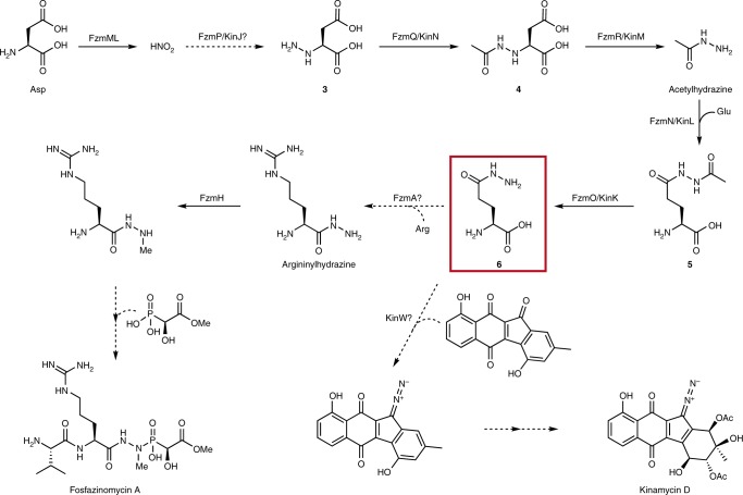 Fig. 6