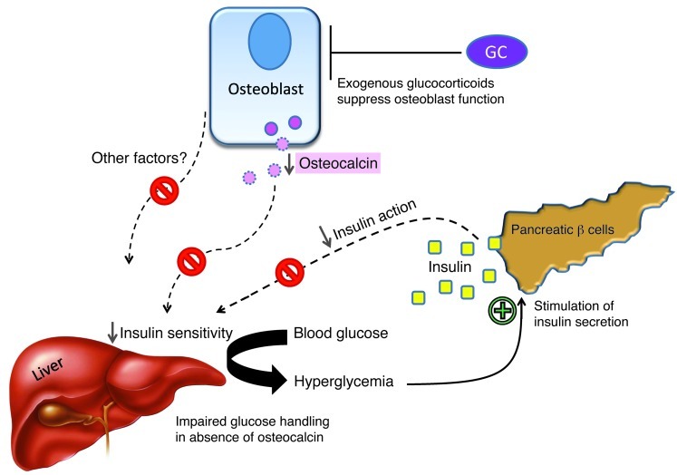 Figure 13