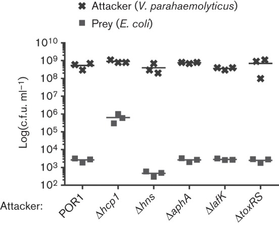 Fig. 3. 