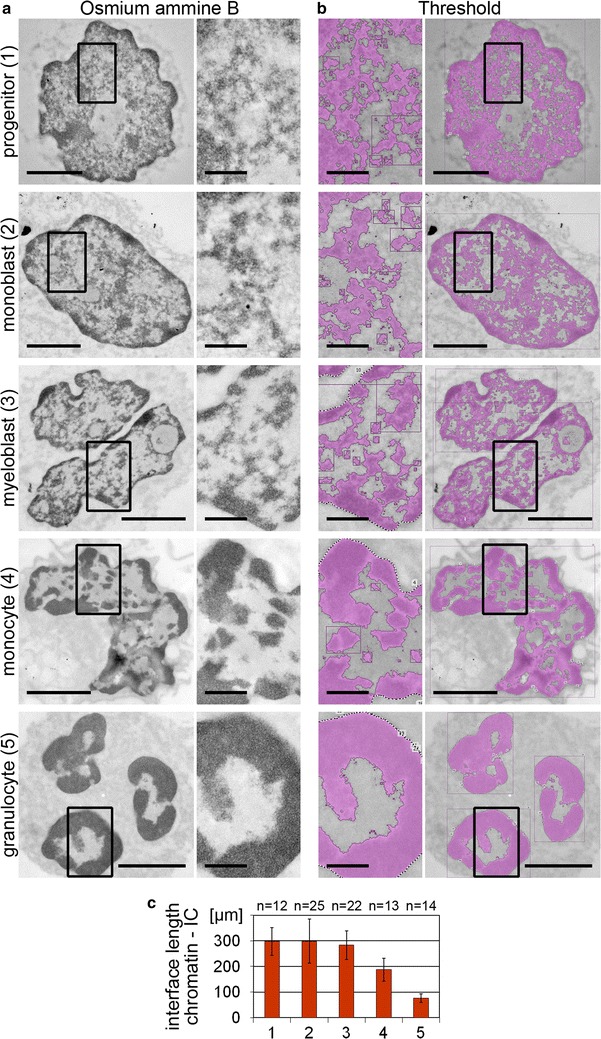 Fig. 3