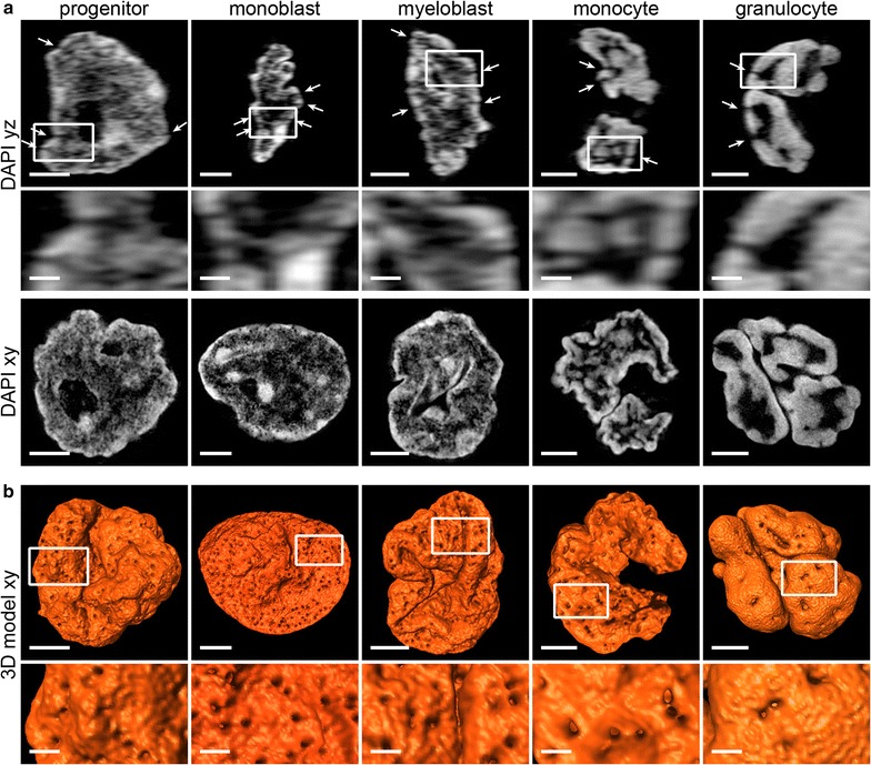 Fig. 2