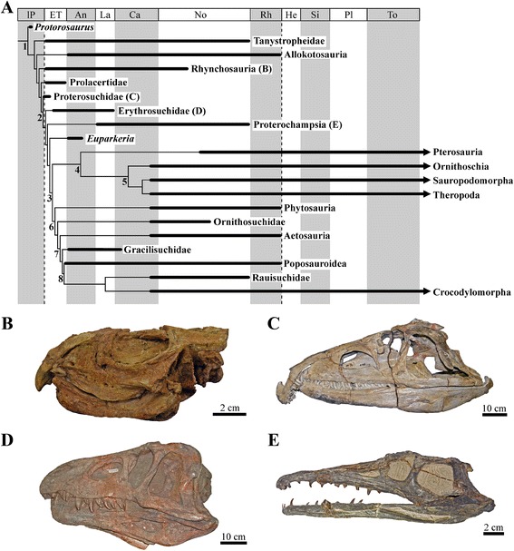 Fig. 1