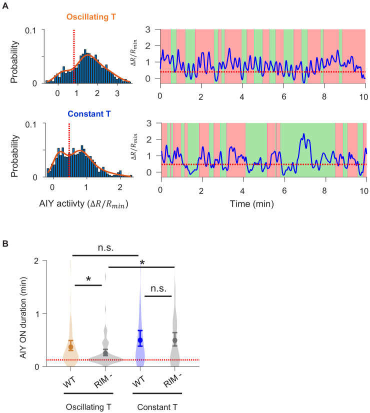 Figure 5—figure supplement 1.