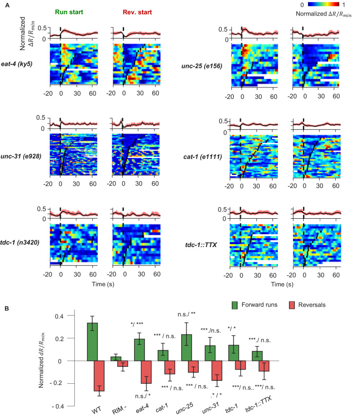 Figure 4—figure supplement 2.