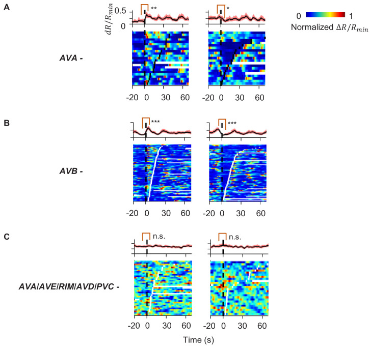 Figure 4—figure supplement 1.