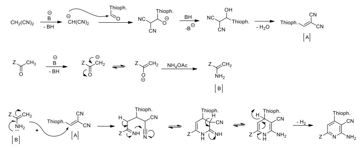 Scheme 2