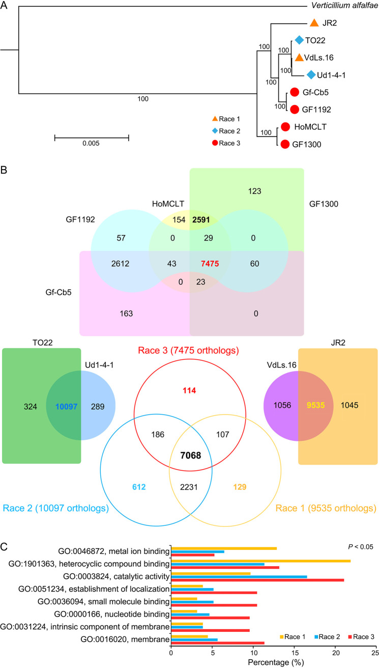 FIG 2