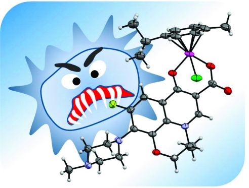 graphic file with name om-2010-01180c_0003.jpg