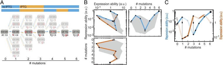 Fig. 3.