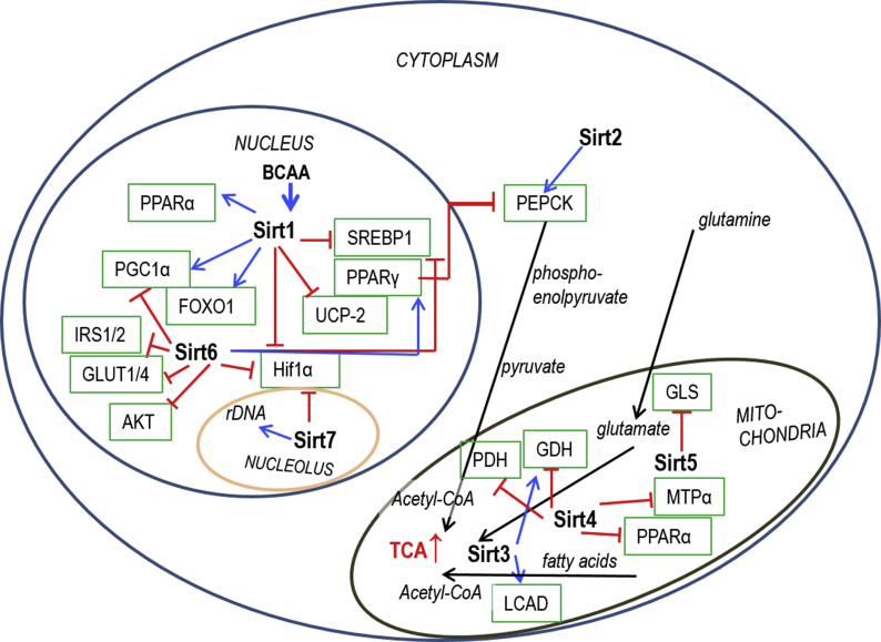 Fig. S1