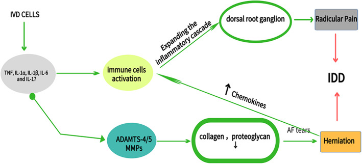 Fig 4