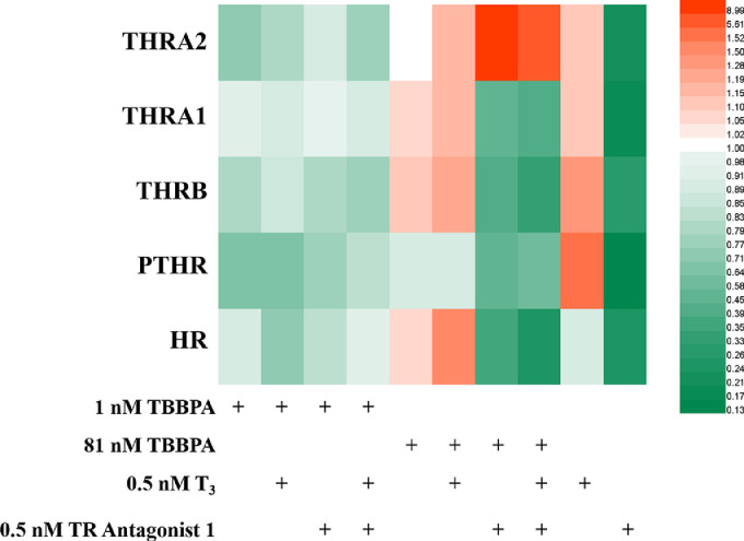 Fig 6