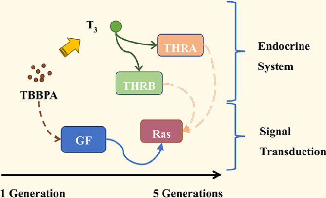 Image, graphical abstract