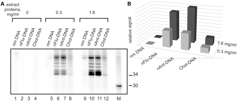 Figure 5.