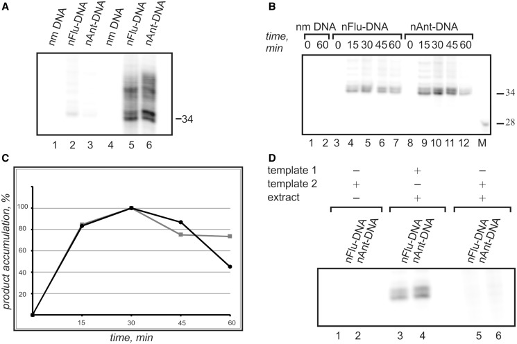 Figure 4.