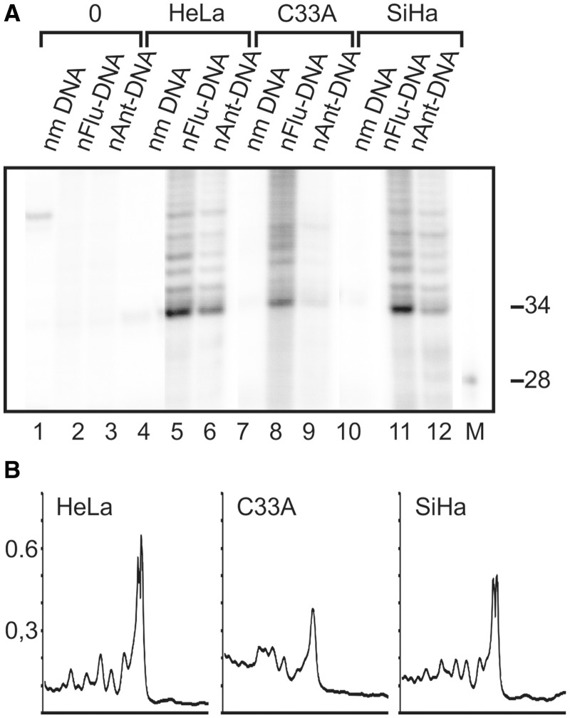 Figure 6.