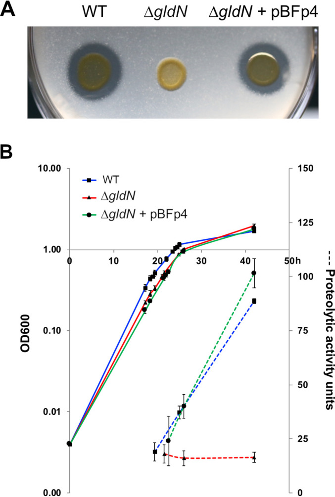 FIG 4