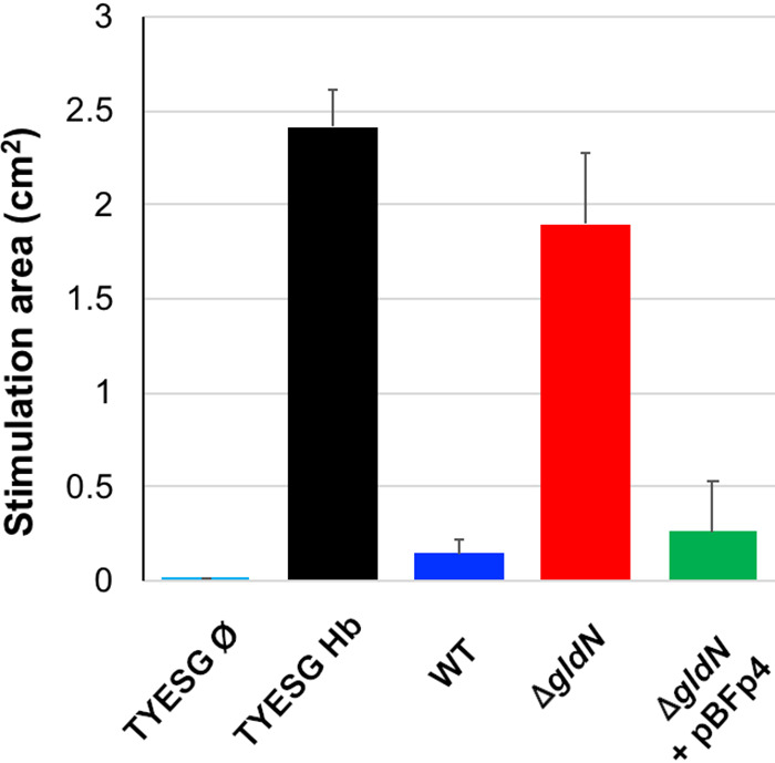 FIG 6