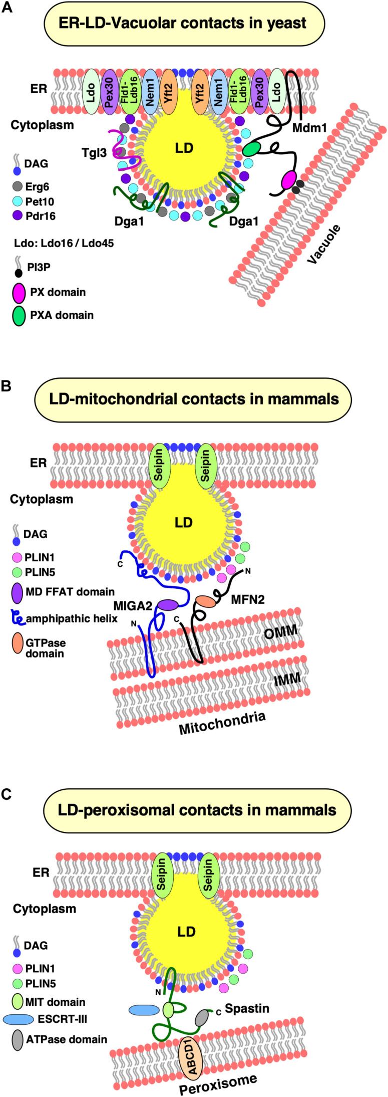 FIGURE 3