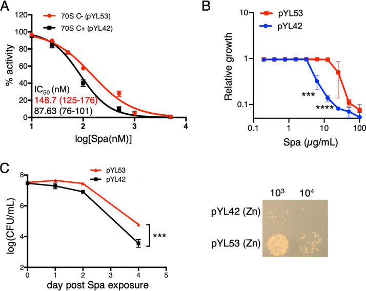 FIG 2