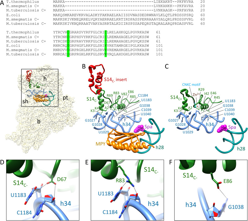 FIG 4