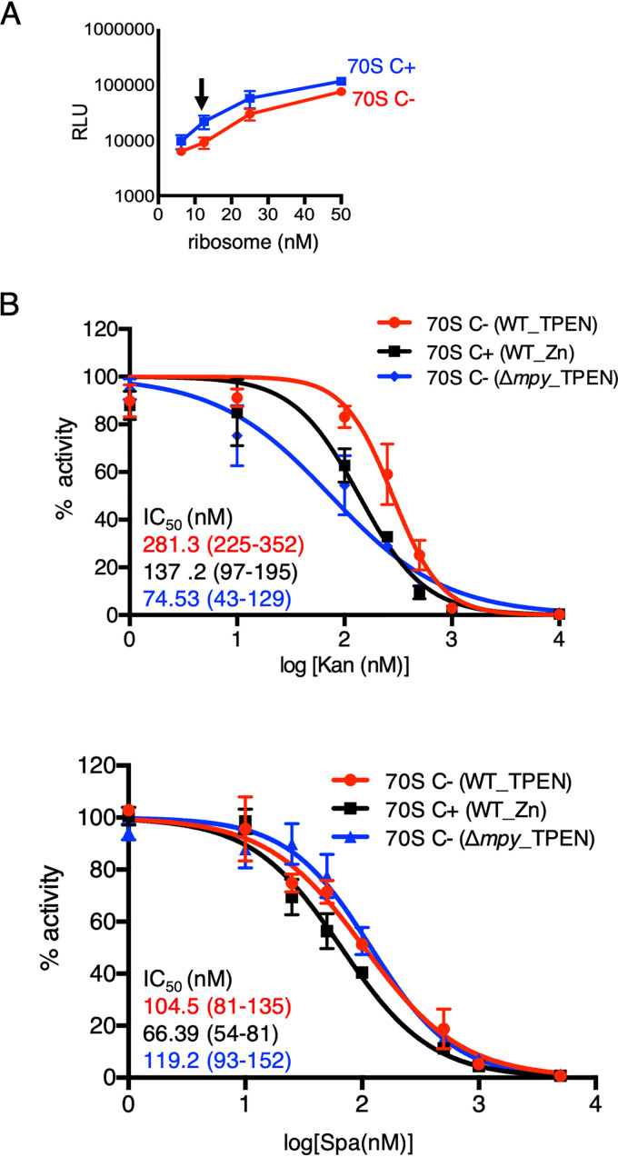 FIG 1