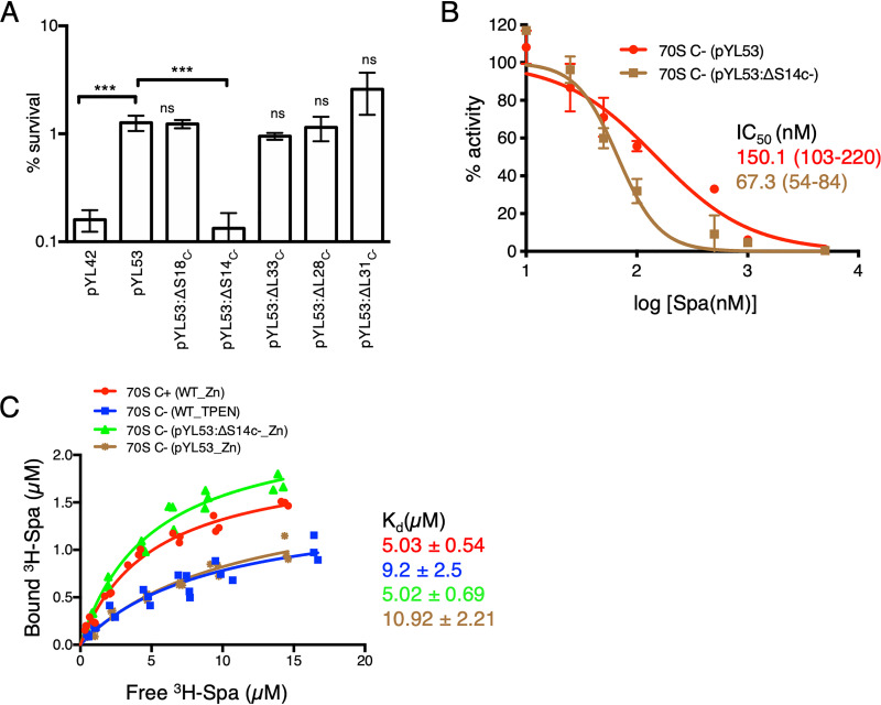 FIG 3