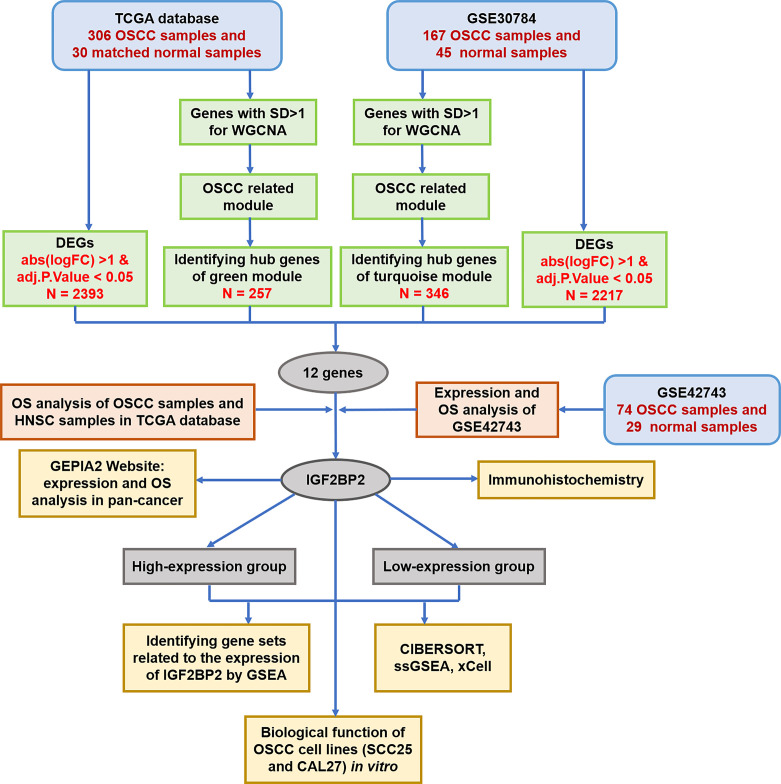 Figure 1