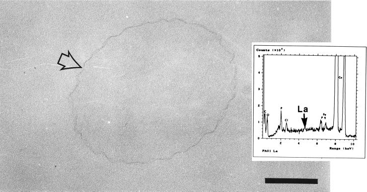 FIG. 8