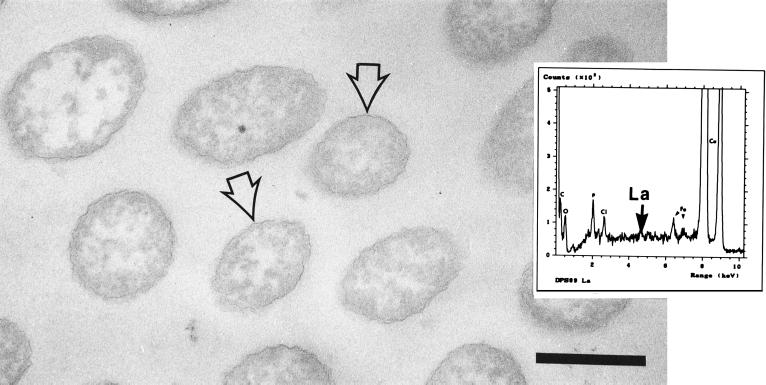 FIG. 9