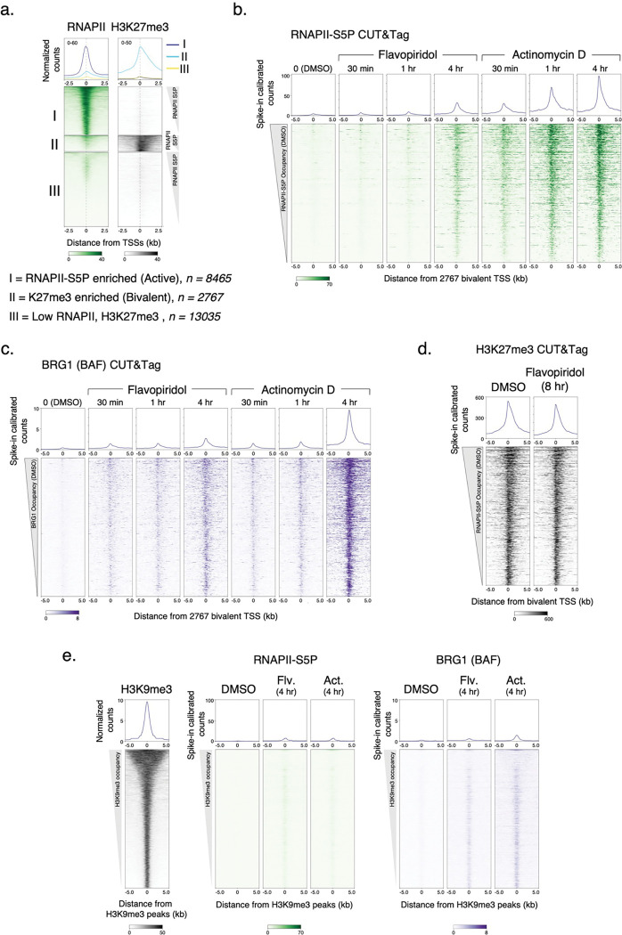 Extended Data Fig. 4 |