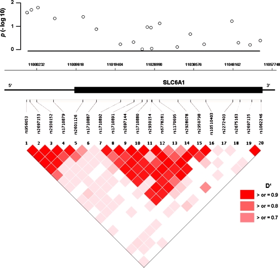 Fig. 1