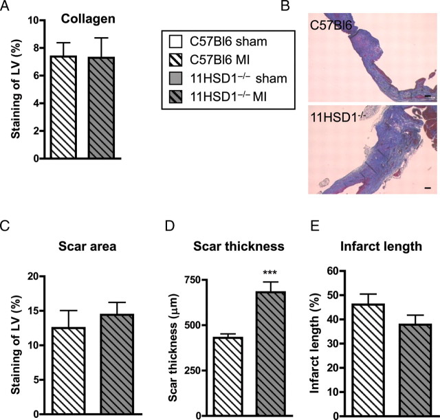 Figure 6