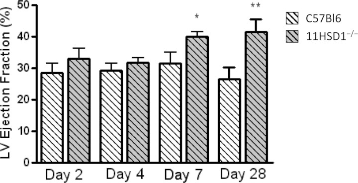 Figure 4