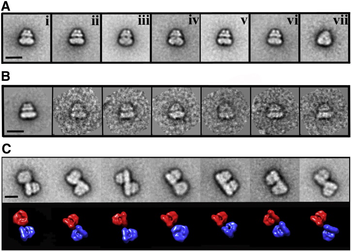 Fig. 2