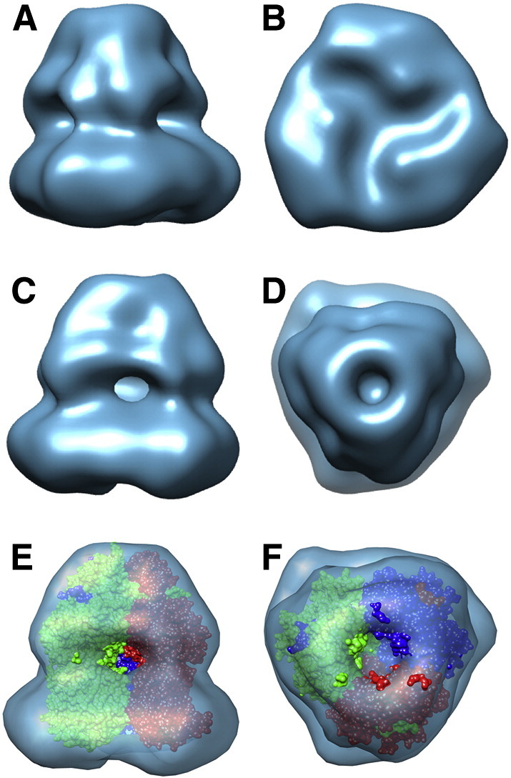 Fig. 4