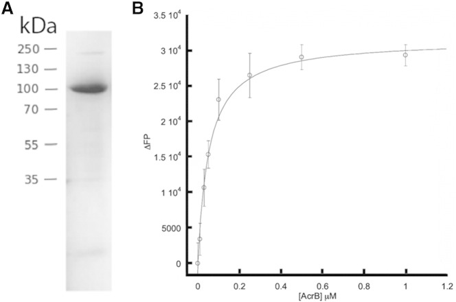 Fig. 1