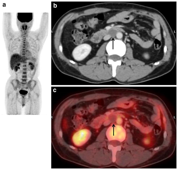 Fig. 5