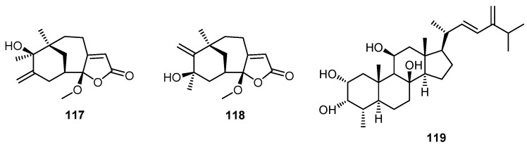 Figure 28