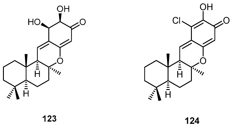 Figure 32