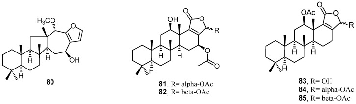 Figure 21