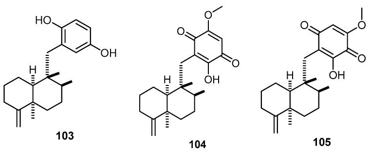 Figure 23