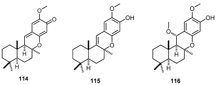 Figure 27